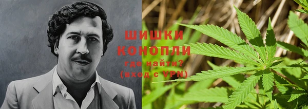a pvp Мегион