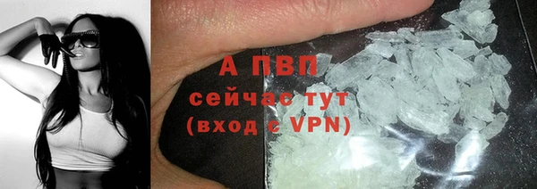 сатива Кукмор