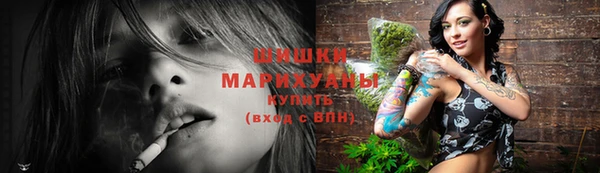 сатива Медногорск