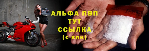 сатива Медногорск