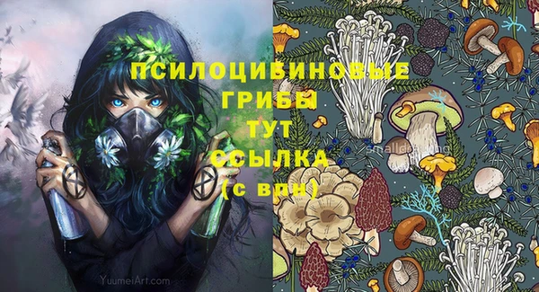 сатива Медногорск