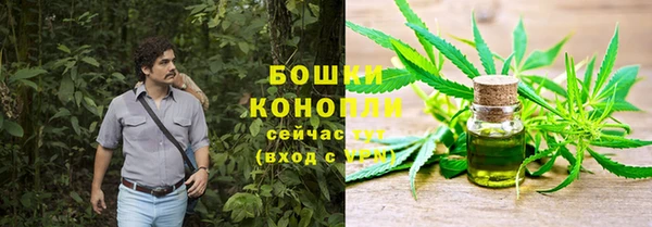 мяу мяу мука Михайловск