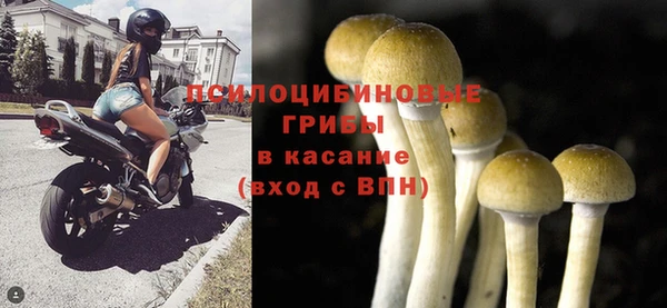МДМА Лагань